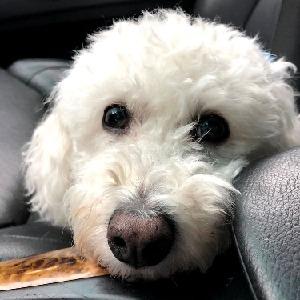 Chloe Ragozzino's Avatar